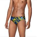 Reflected Brief
